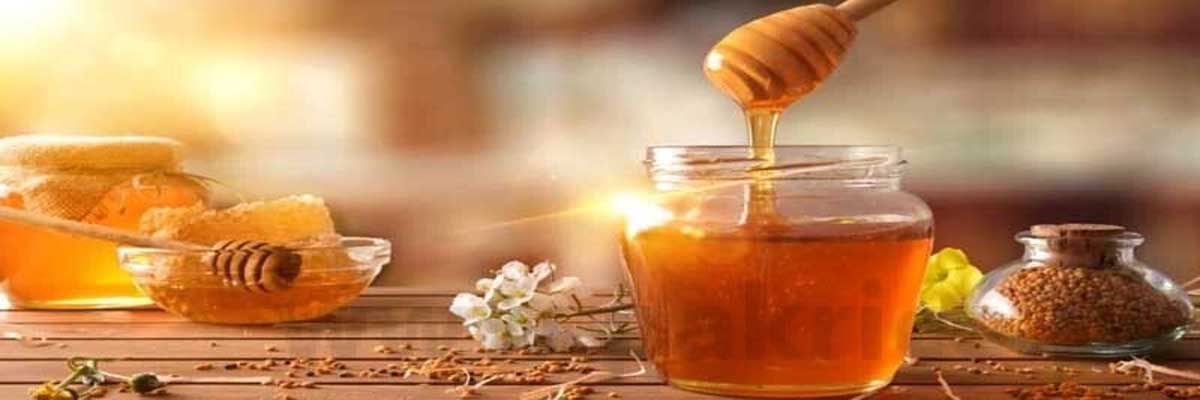 Best Honey Exporters In Pakistan